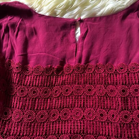 Anthropologie Floreat Aveline Crochet Lace Dress in Raspberry - Picture 8 of 11